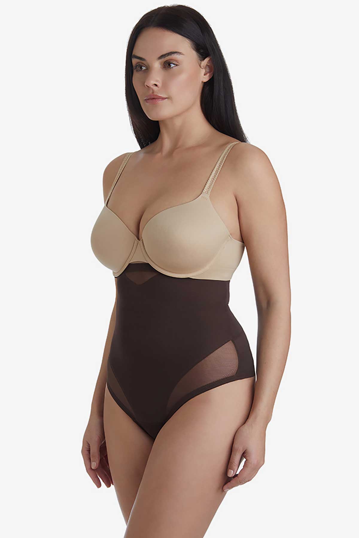 Buy Miraclesuit High Waisted Sheer Firm Tummy Control Thong from Next  Luxembourg